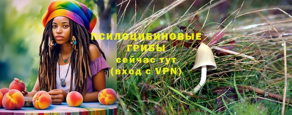 apvp Балахна