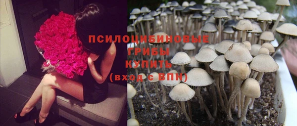 спиды Баксан