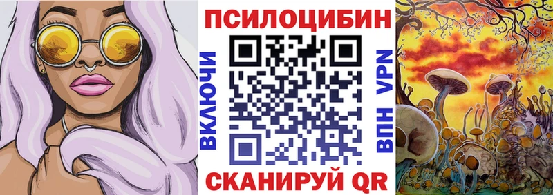Псилоцибиновые грибы мицелий Сельцо