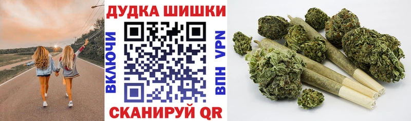 Конопля планчик Сельцо